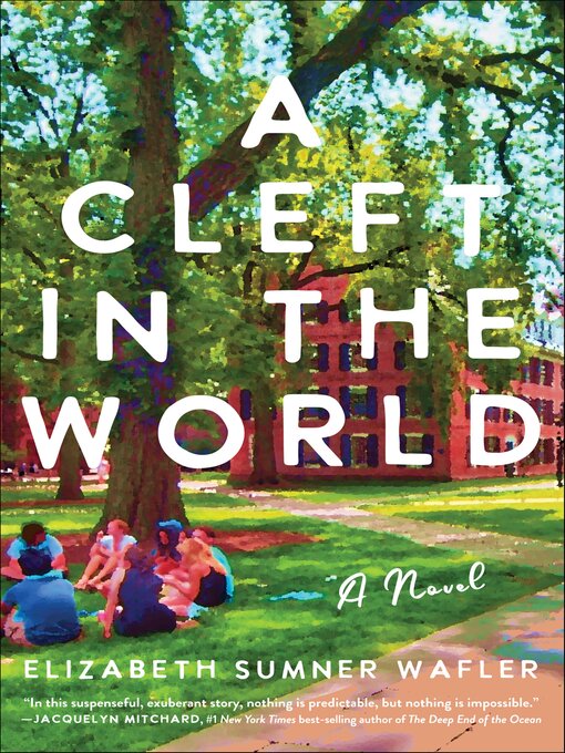 Title details for A Cleft in the World by Elizabeth Sumner Wafler - Available